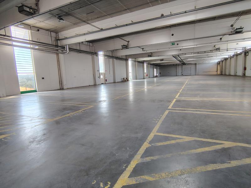 Moderne Lagerhalle mit 2701 m&sup2; und 8 m Raumh&ouml;he ab sofort verf&uuml;gbar - Bild# 2 