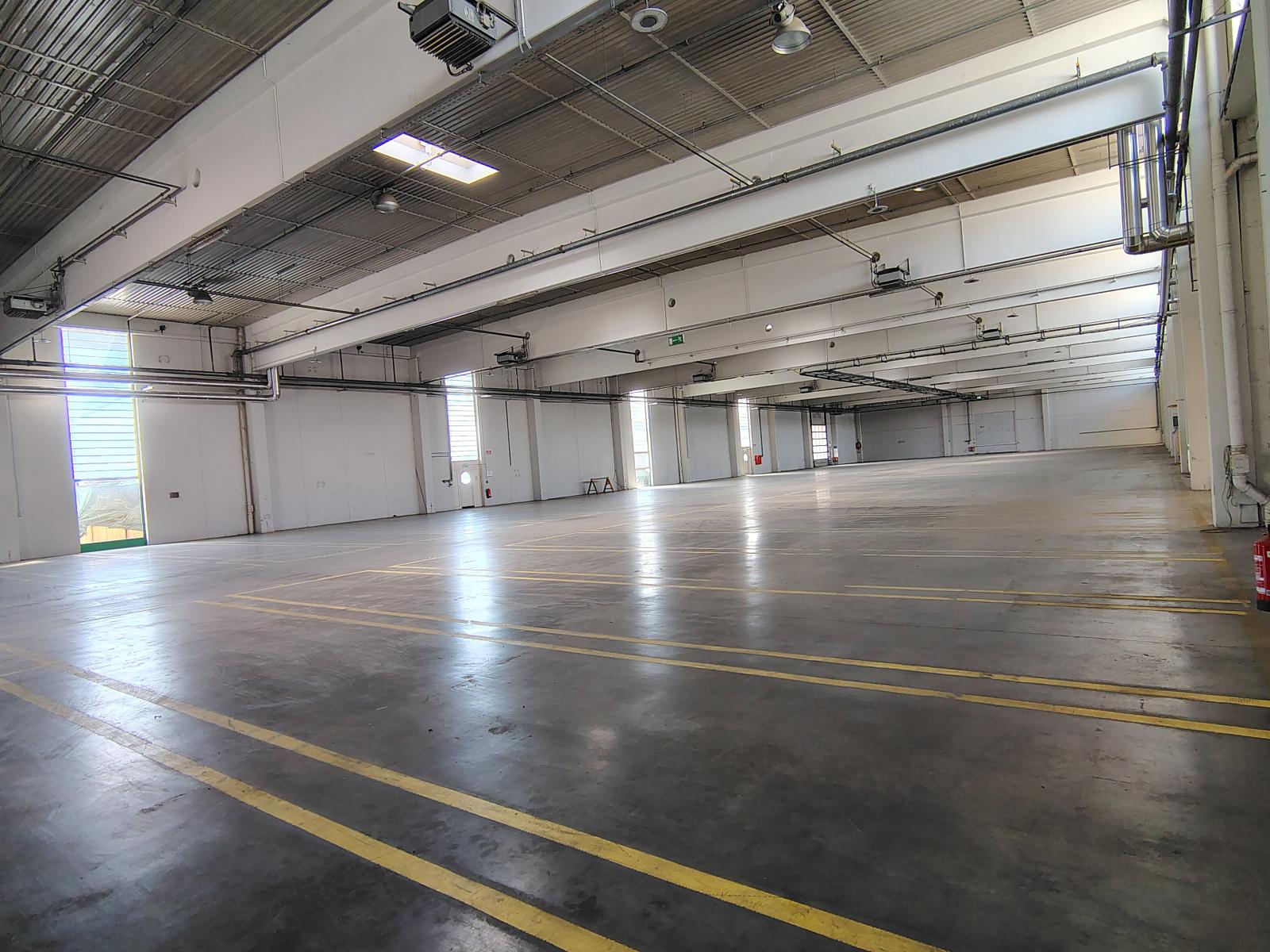 Moderne Lagerhalle mit 2701 m&sup2; und 8 m Raumh&ouml;he ab sofort verf&uuml;gbar - Bild# 6 
